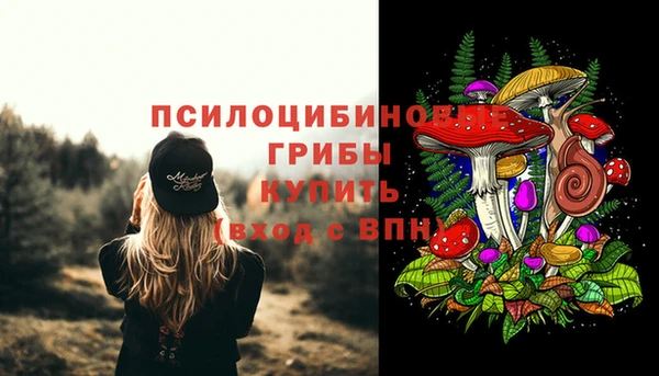 мяу мяу мука Вязьма
