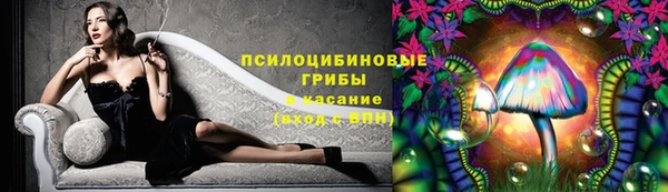 PSILOCYBIN Вязники