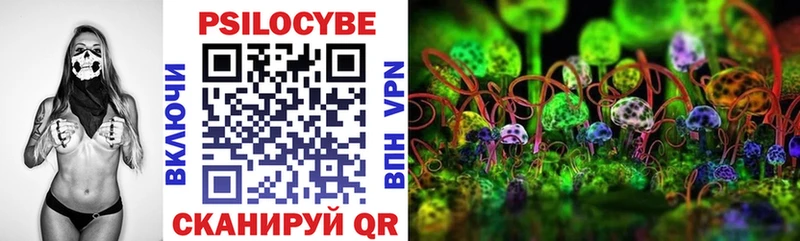 Купить где  Курлово  Галлюциногенные грибы MAGIC MUSHROOMS 